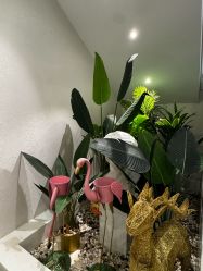-脸博士医疗美容·眼鼻整形·抗衰中心
