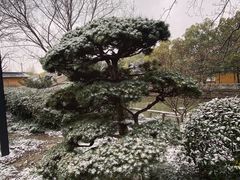 -西园戒幢律寺