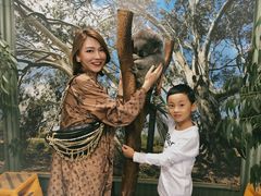 -费瑟代尔野生动物园