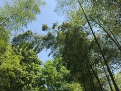 -西湖风景区十里琅珰-五云山