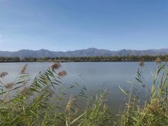 -野鸭湖国家湿地公园