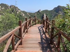 -大岭沟猕猴桃谷风景区