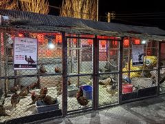 -鱼窝棚柴火铁锅炖(富山屯店)