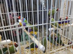 -三旗百汇商品城