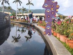 -亚龙湾国际玫瑰谷