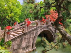-上海醉白池公园