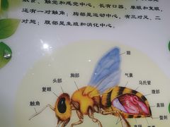 -上海昆虫博物馆