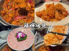 -禄婶鸡煲·打边炉