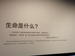 -四川大学博物馆