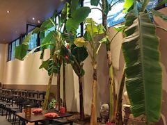-单家老院·院子里的青岛菜(沙子口店)