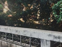 -小洲村