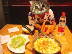 -新梅华(太仓万达店)
