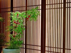 -康逸居·始于2002(海安店)