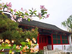 -海棠花溪(元大都城垣遗址公园)