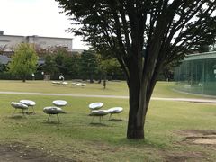 -金泽21世纪美术馆