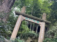 -西泠印社