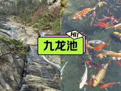 -九龙池景区