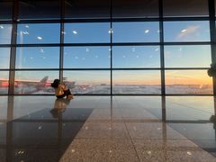 -谢列梅捷沃国际机场