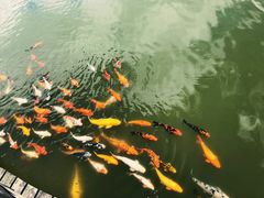 -永泰中国云顶