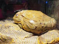 -太平洋海底世界