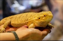 -酷嗒动物文化乐园(cutezoo西溪乐天城店)