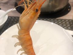 -阿杜打边炉(五江天街店)