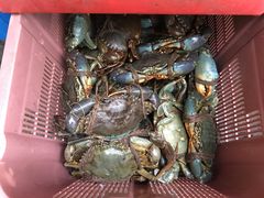 -龙海鲜螃蟹王(宏茂桥店)