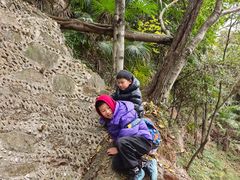 -窦圌山风景区