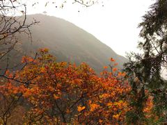 -北京十三陵国家森林公园蟒山景区