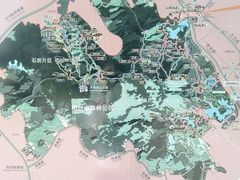 -阳台山森林公园