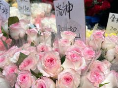 -循礼门鲜花花市(武汉循礼门店)