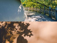 -南京市无想山景区