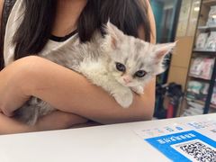 -瑞派康怡24h宠物医院·犬猫医疗中心·微创绝育(瑞景分院)