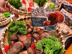 -芸山季·云南野生菌火锅(人民广场来福士店)
