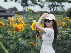 -杭州湾海上花田景区