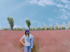 -汉长安城未央宫国家考古遗址公园