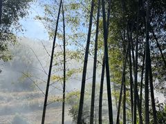 -东钱湖旅游度假区