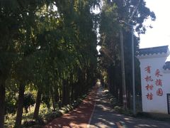 -上海长兴岛郊野公园