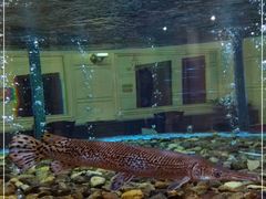 -肇庆奥威斯酒店