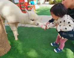 -萌宠亲子动物乐园(槐房万达店)