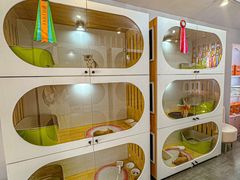 -青奢宠物·青奢猫舍