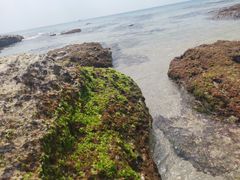 -白沙湾海滩