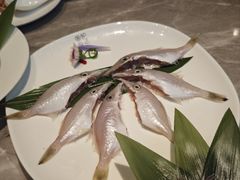 剥皮鱼-围炉夜话·潮汕卤水火锅(榕江店)