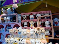 -M Stand(成都COSMO店)