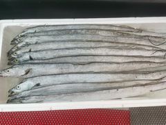 -渔中舟海鲜大排档(普陀沈家门店)