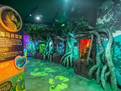 -沈阳海洋探索中心