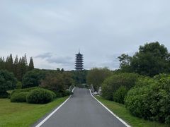 -宜兴龙背山森林公园