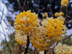 -杭州半山国家森林公园