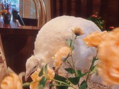 -宁波九龙湖开元度假村