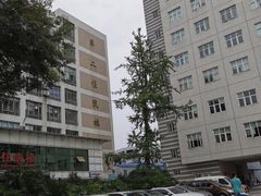 -四川天府新区人民医院